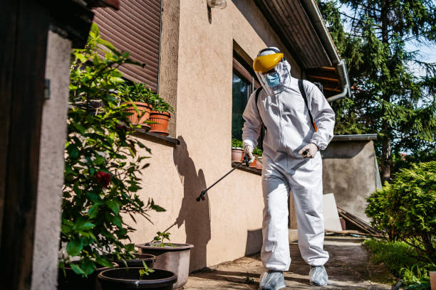 Best Cockroach Control Services  in Elliston, VA