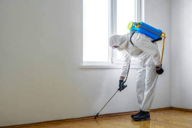 Professional Pest Control in Elliston, VA