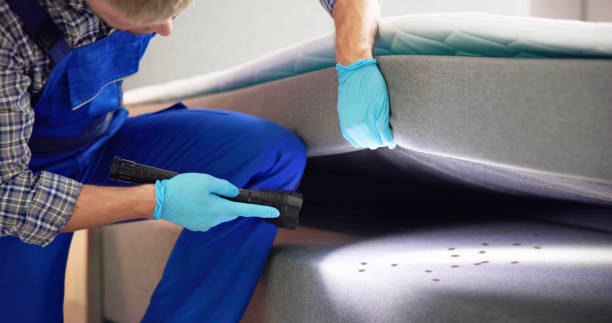Reliable Elliston, VA Pest Control Solutions