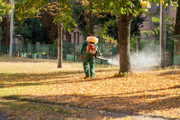 Best Affordable Pest Control Services  in Elliston, VA
