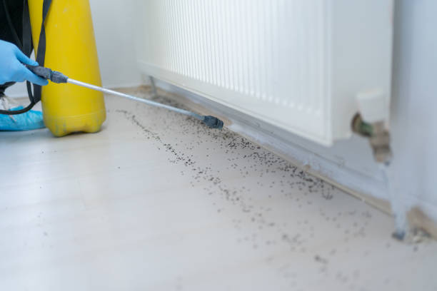 Best Emergency Pest Control  in Elliston, VA